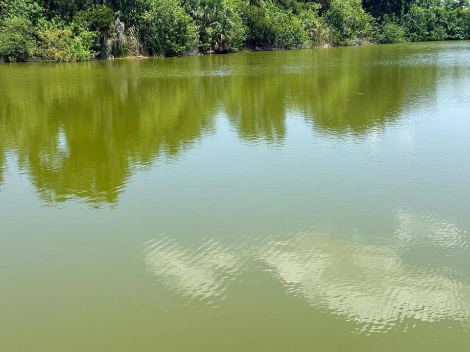 Natural landscape, Lake view