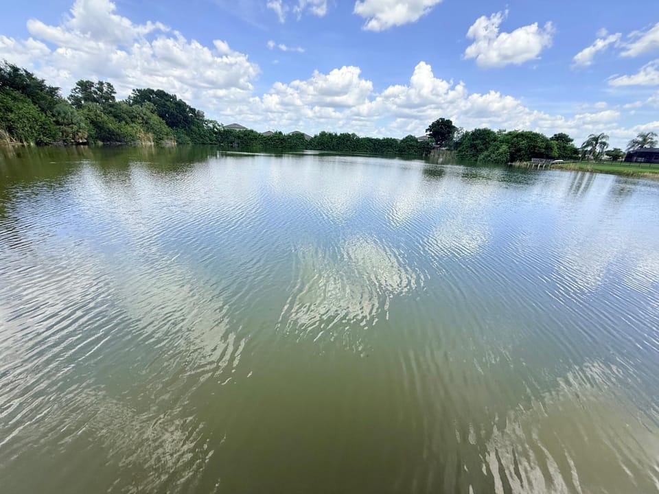 Natural landscape, Lake view