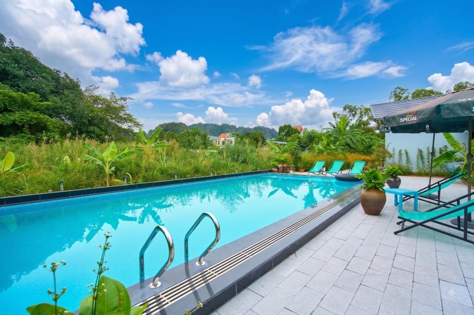 Spring, Day, Natural landscape, Garden, Garden view, Pool view, Swimming pool, sunbed
