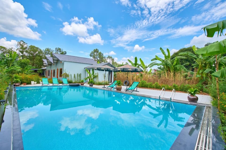 Day, Garden, Garden view, Pool view, Swimming pool, sunbed