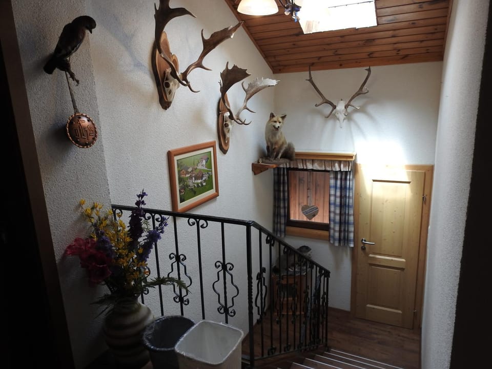 Property building, Decorative detail