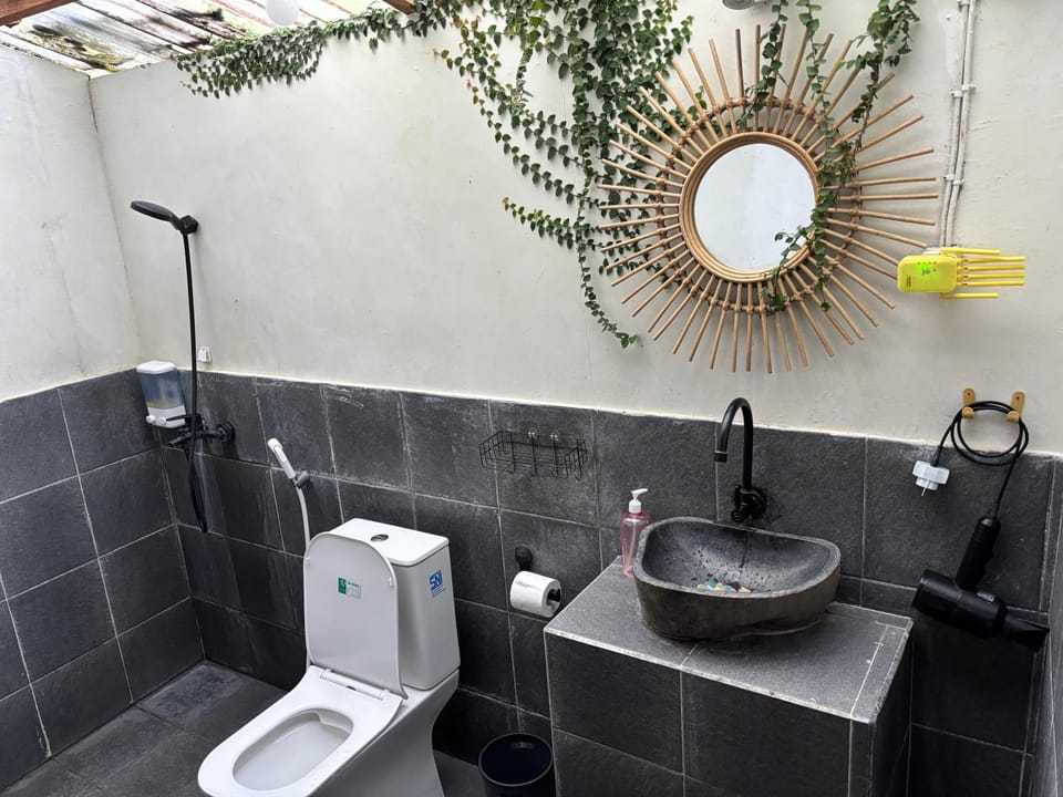 Shower, Toilet, Bathroom, bidet