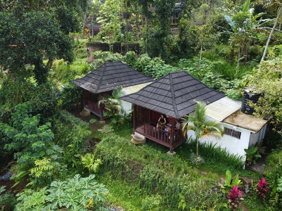 Property building, Natural landscape