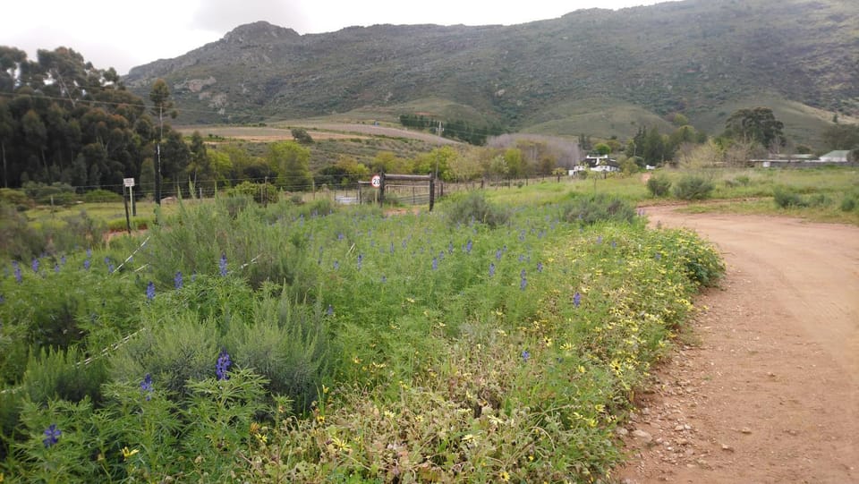 Natural landscape