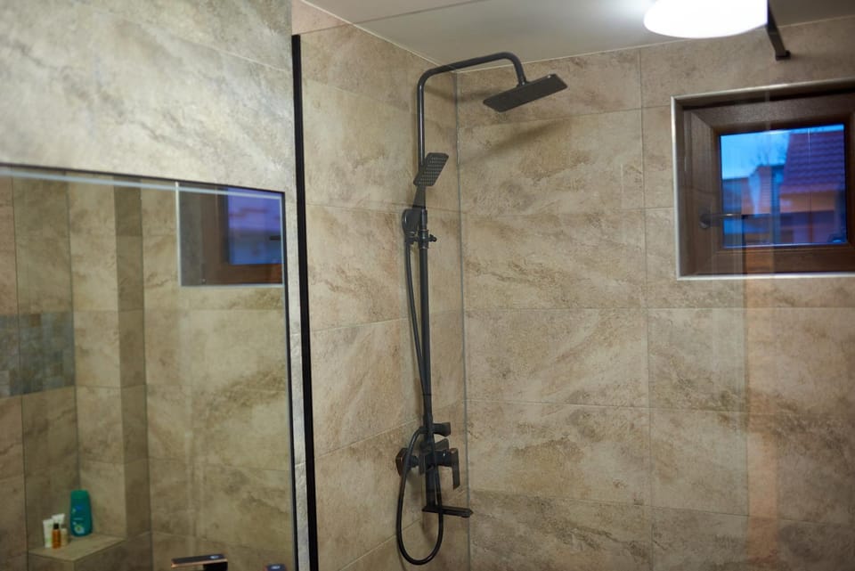 Pensiunea Banul Jiului - Complex de Agrement Bed and Breakfast in Craiova