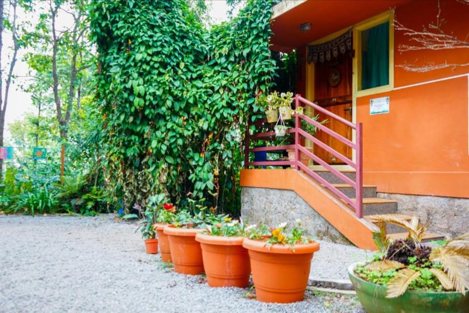 Property building, Garden, Garden view