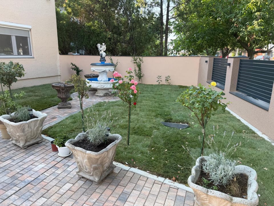 Patio, Day, Garden, Garden view