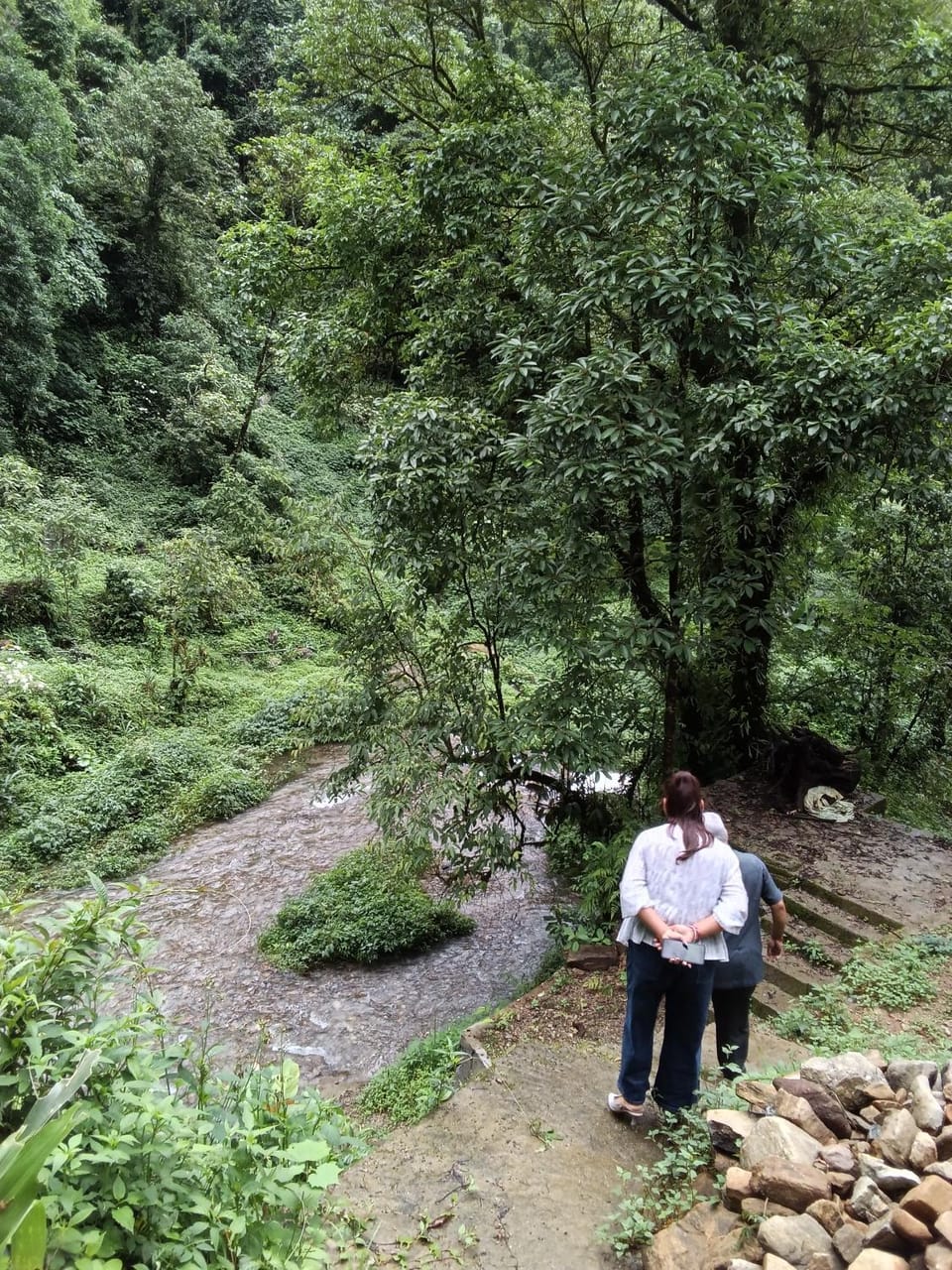 Whispering Himalayas home stay come resort Vacation rental in India