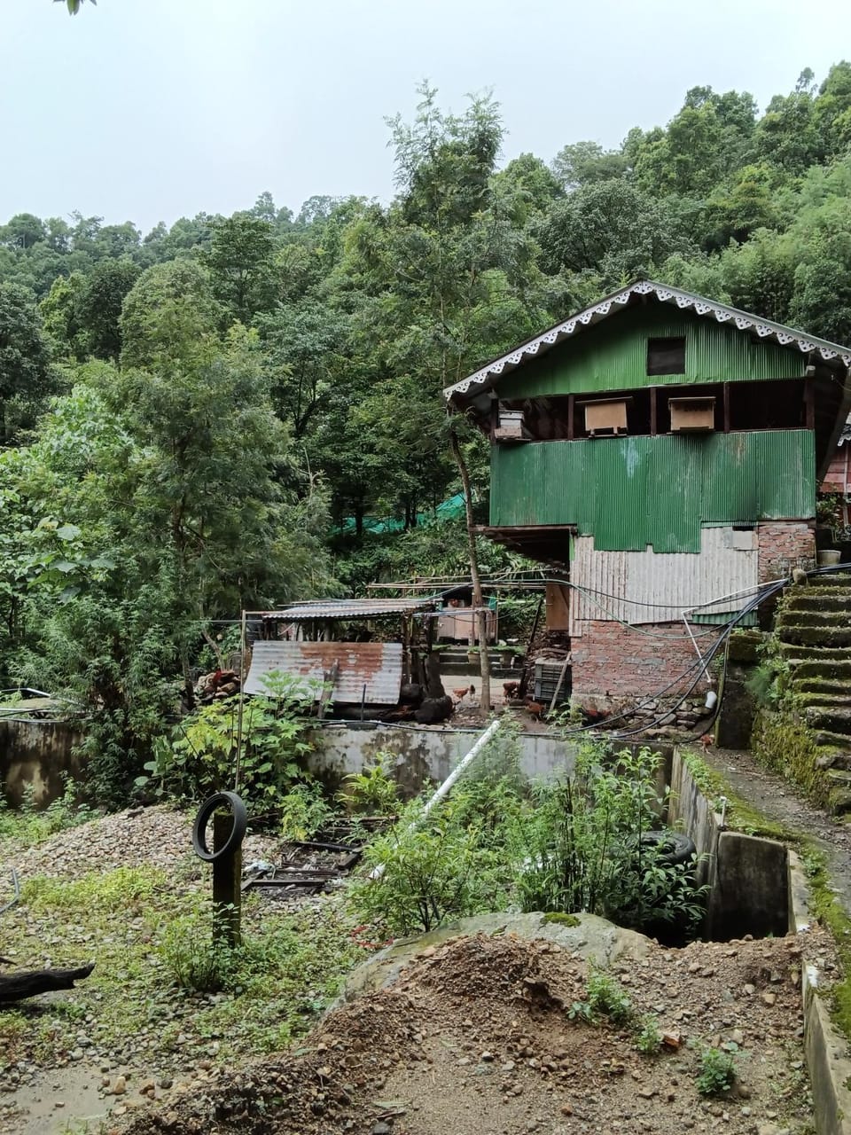 Whispering Himalayas home stay come resort Vacation rental in India