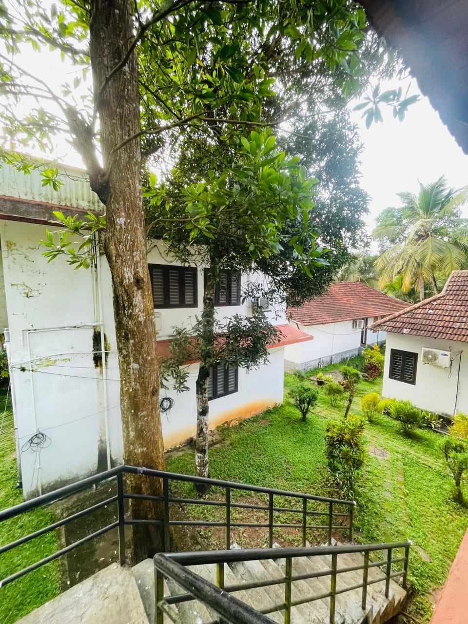 Property building, Natural landscape, Garden view