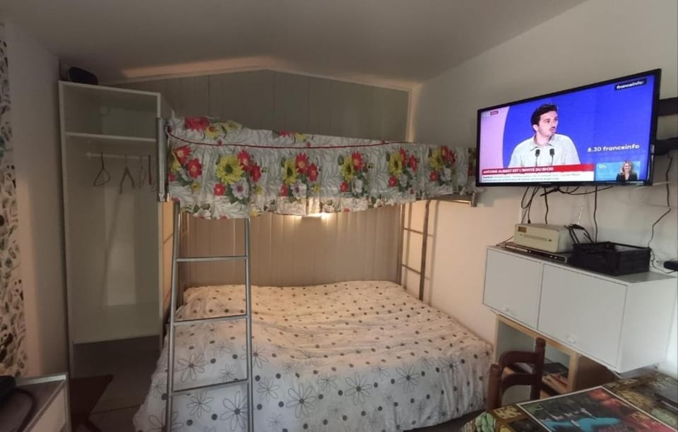 Mini Studio Goya Apartment in Nouvelle-Aquitaine