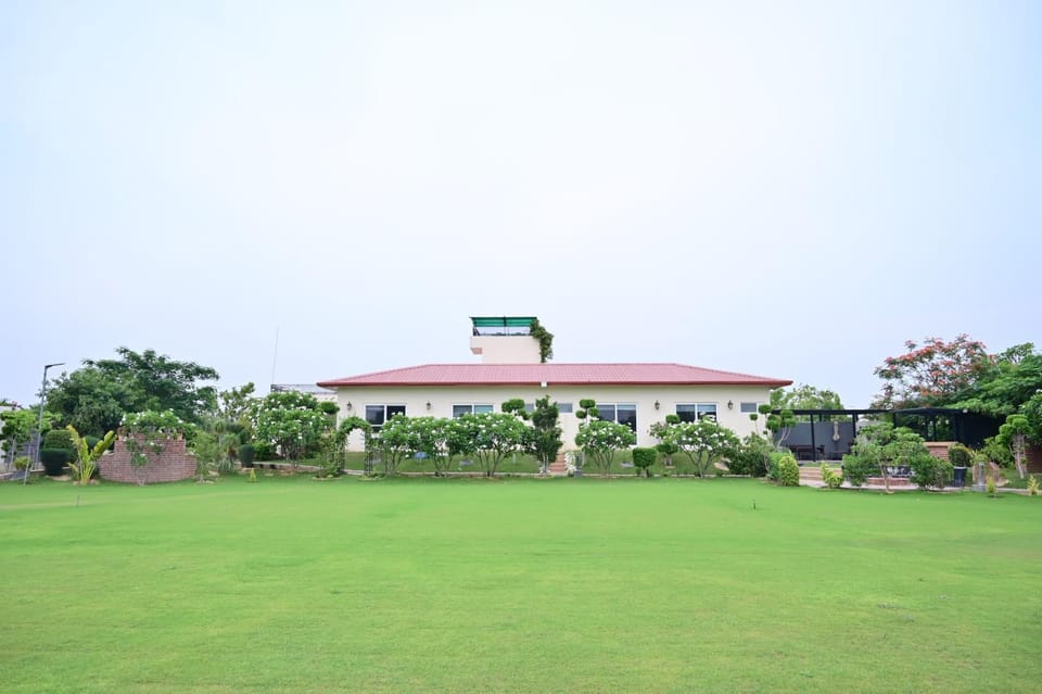 Natural landscape, Garden, Garden view