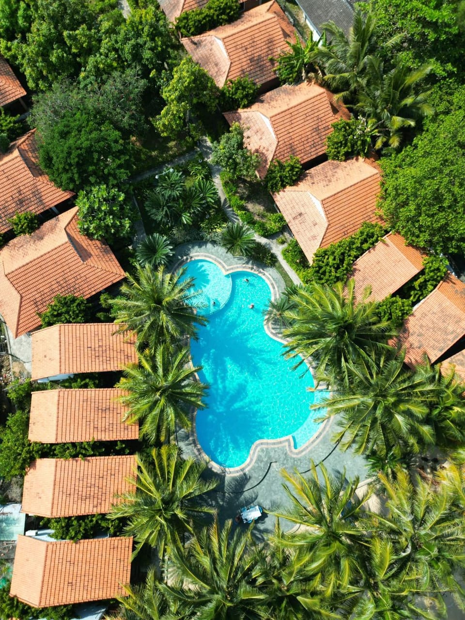 Day, Garden, Garden view, Swimming pool