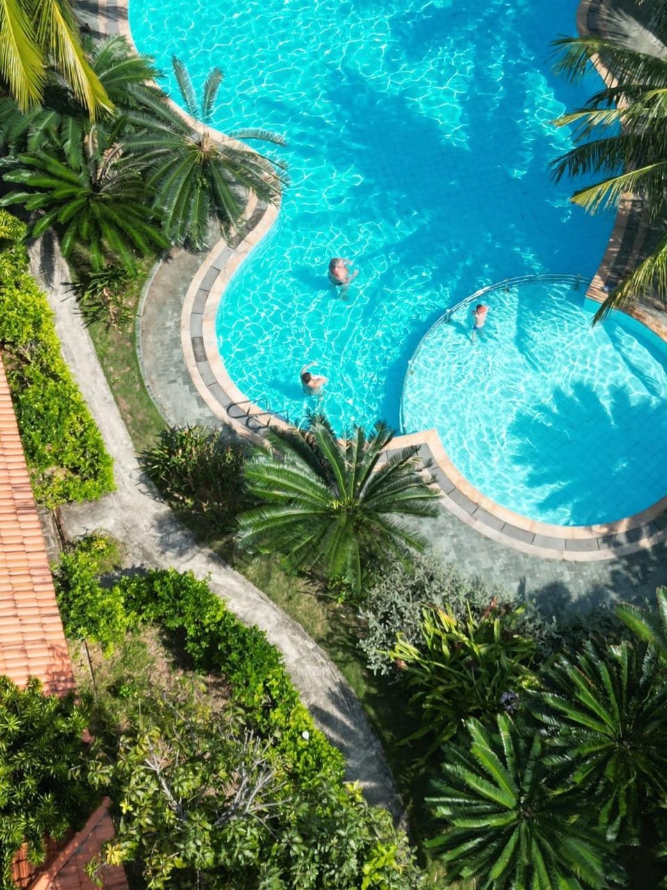 Natural landscape, Garden, Swimming pool