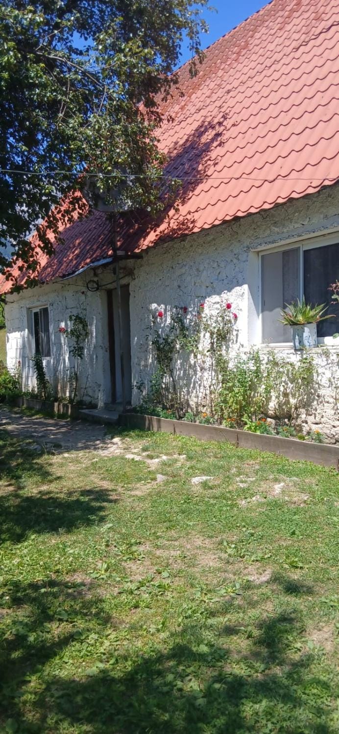 Property building, Spring, Day, Garden, Garden view