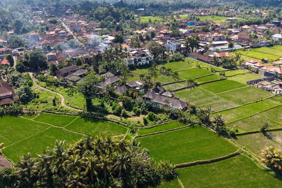 Neighbourhood, Bird's eye view