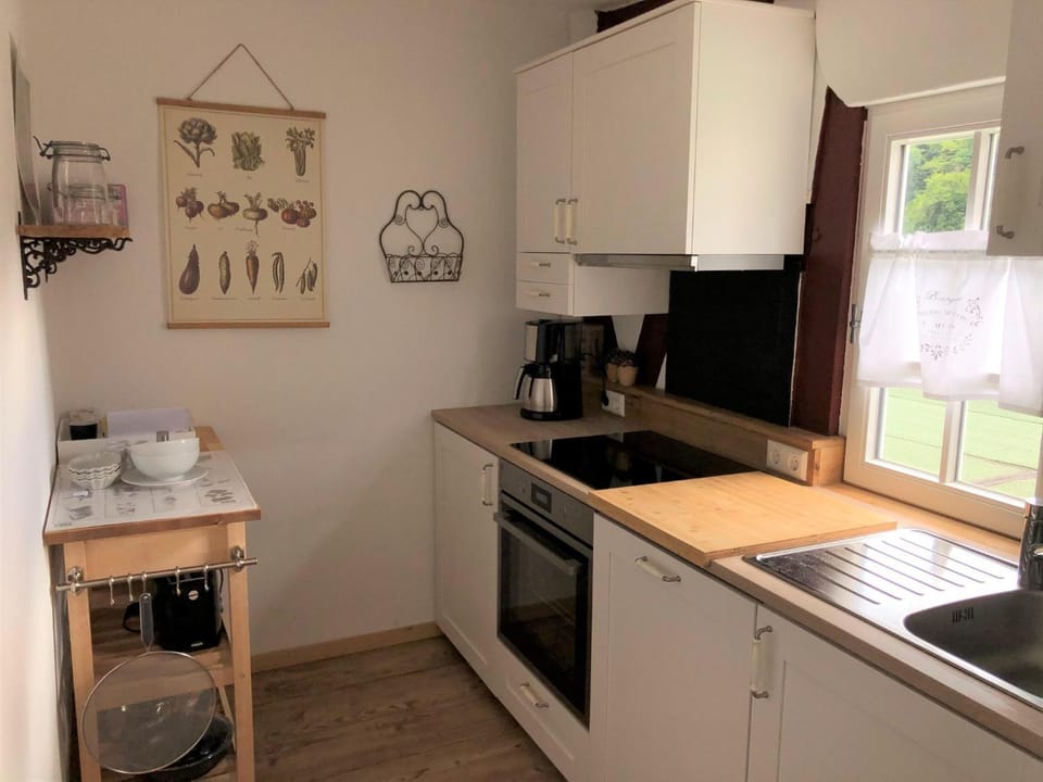 Coffee/tea facilities, Kitchen or kitchenette, oven, stove