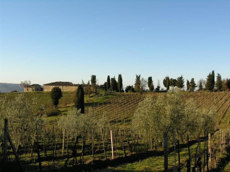 Winter, Autumn, Landmark view
