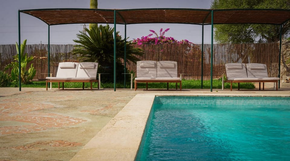 Garden, Garden view, Swimming pool, Swimming pool, sunbed