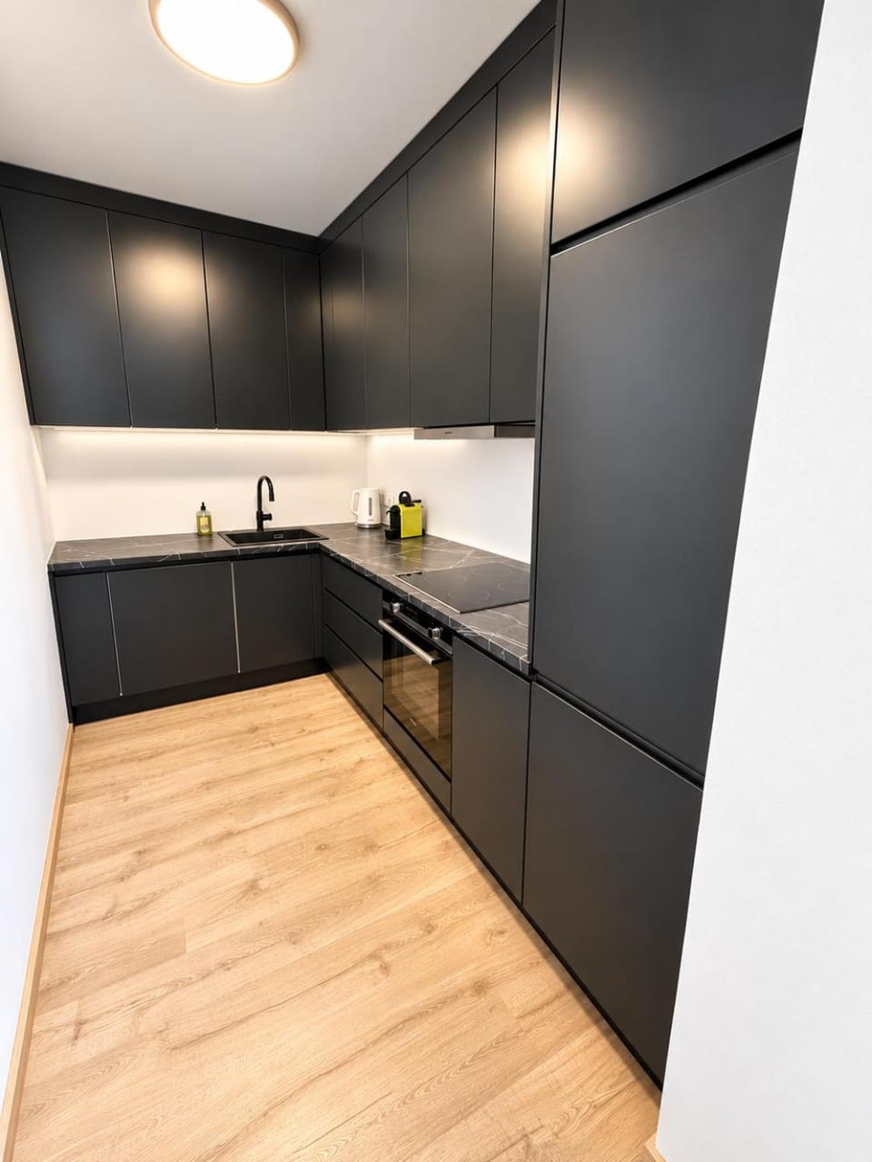 Kitchen or kitchenette, dishwasher, oven, stove