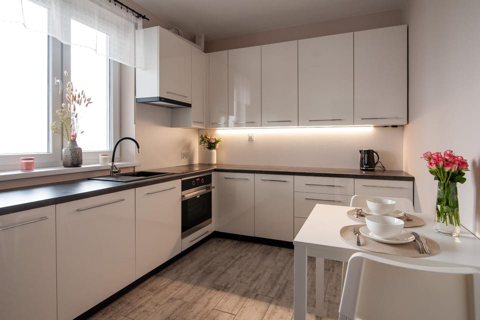 Kitchen or kitchenette, dishwasher, stove