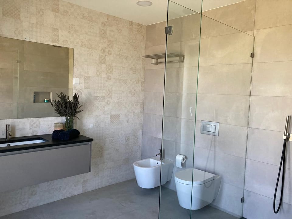 Shower, Toilet, Bathroom, bidet