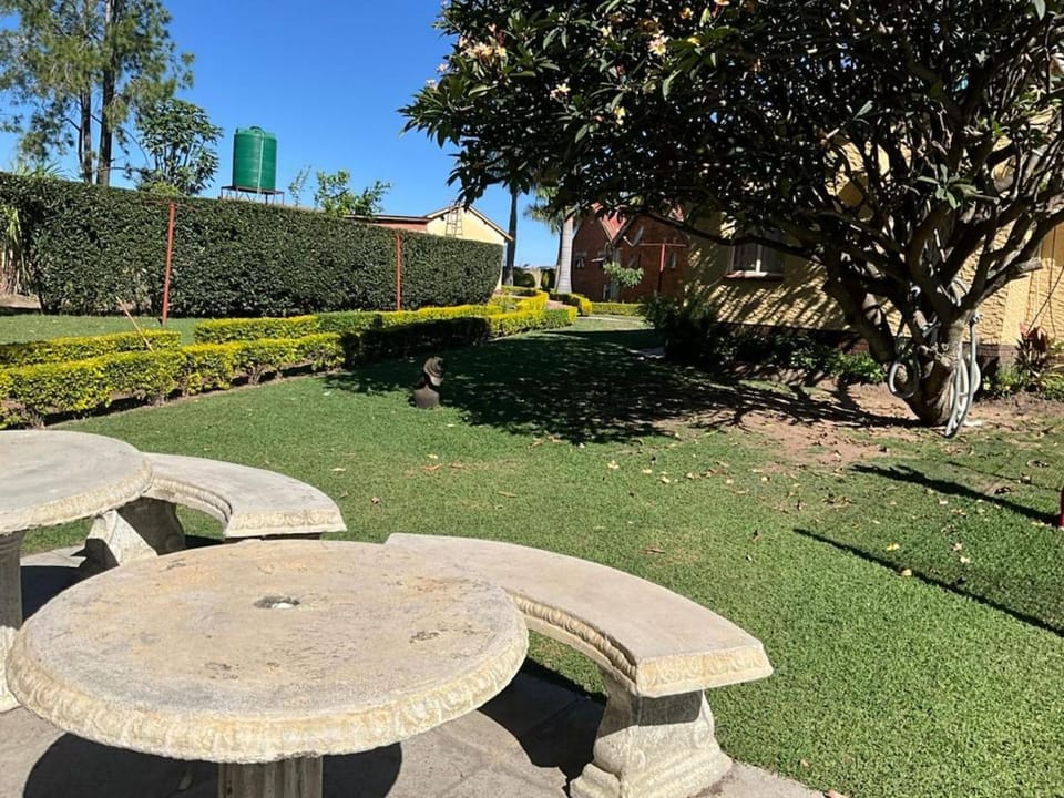 Garden view