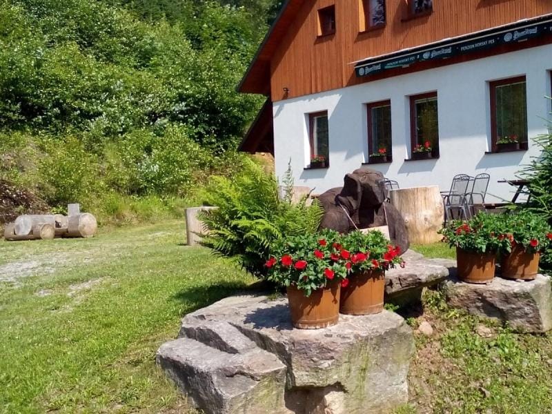 Horský pes Říčky Apartment in Czechia