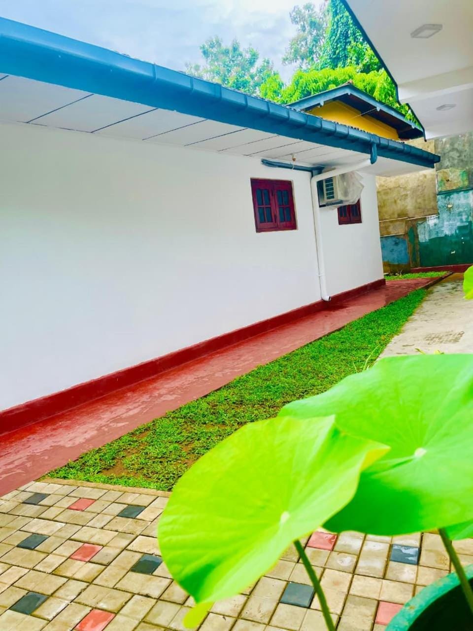 Property building, Day, Garden