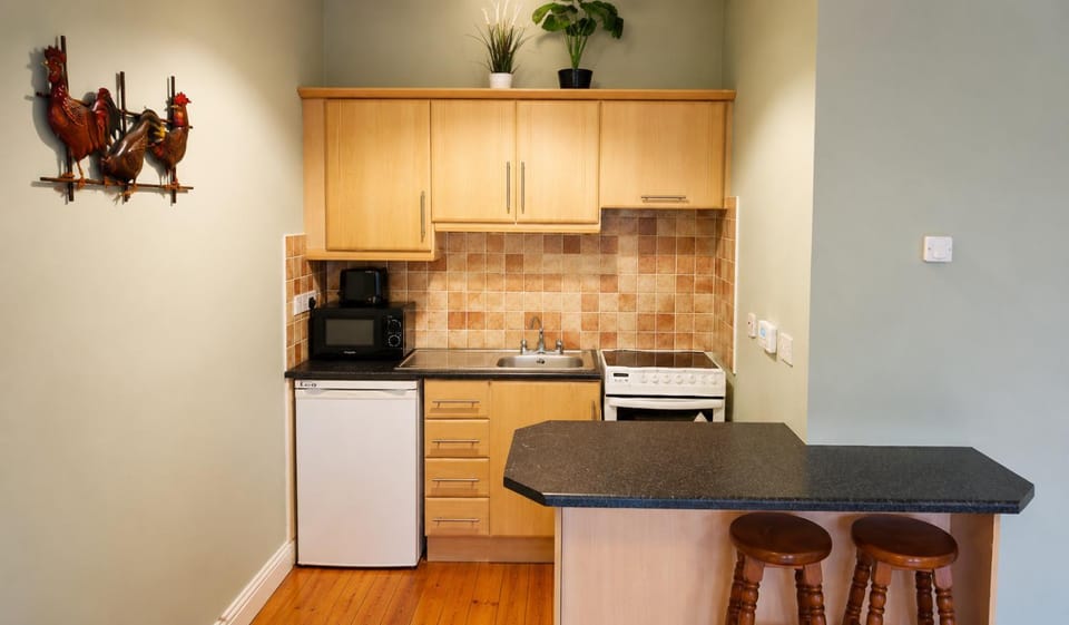 Kitchen or kitchenette, Dining area, oven, stove, toaster