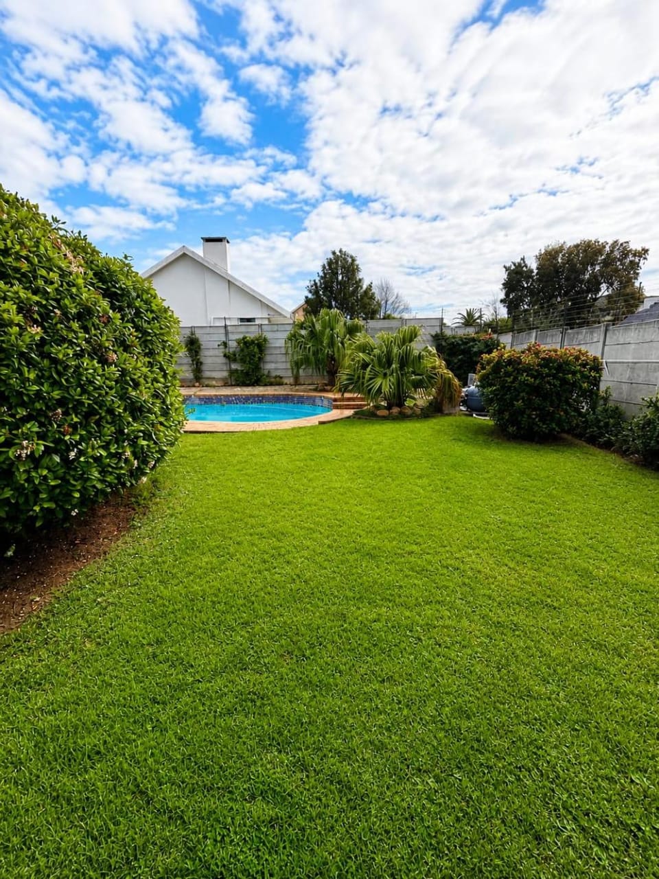 Garden, Swimming pool