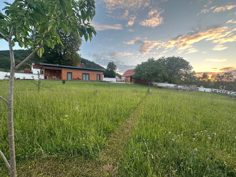 Garden, Garden view
