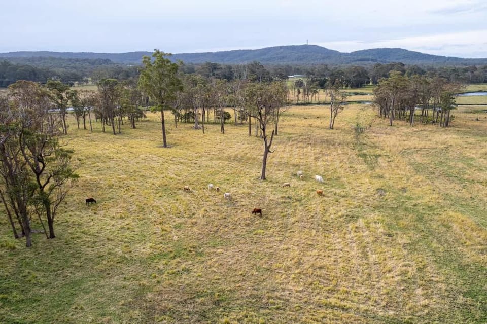 Wyee Farm Stay - Family Escape - Sleeps 12 in Wyee House in Central Coast