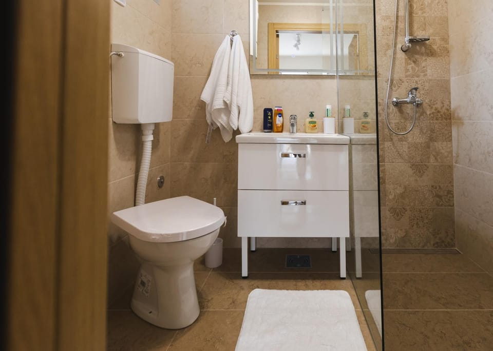 Shower, Toilet, Bathroom, towels