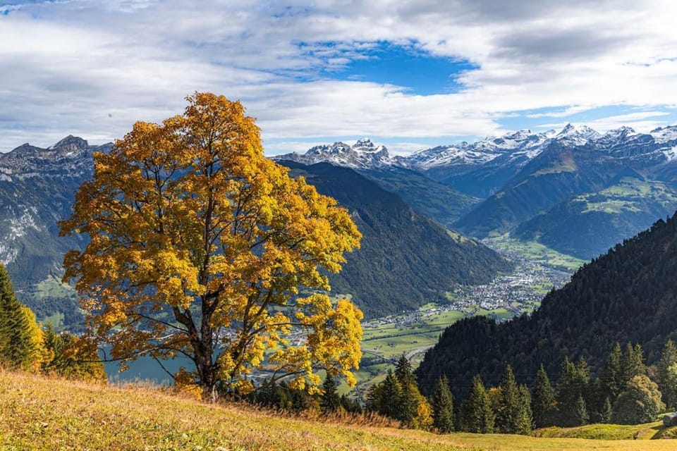 Natural landscape