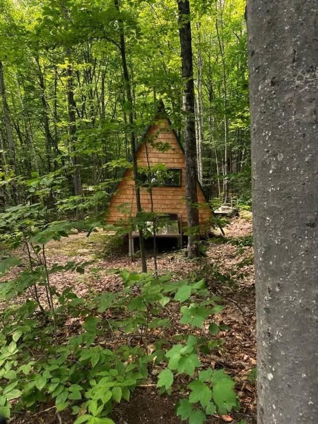 White Mountains Hike-In A-Frame Disc Golf Dreams House in Lovell