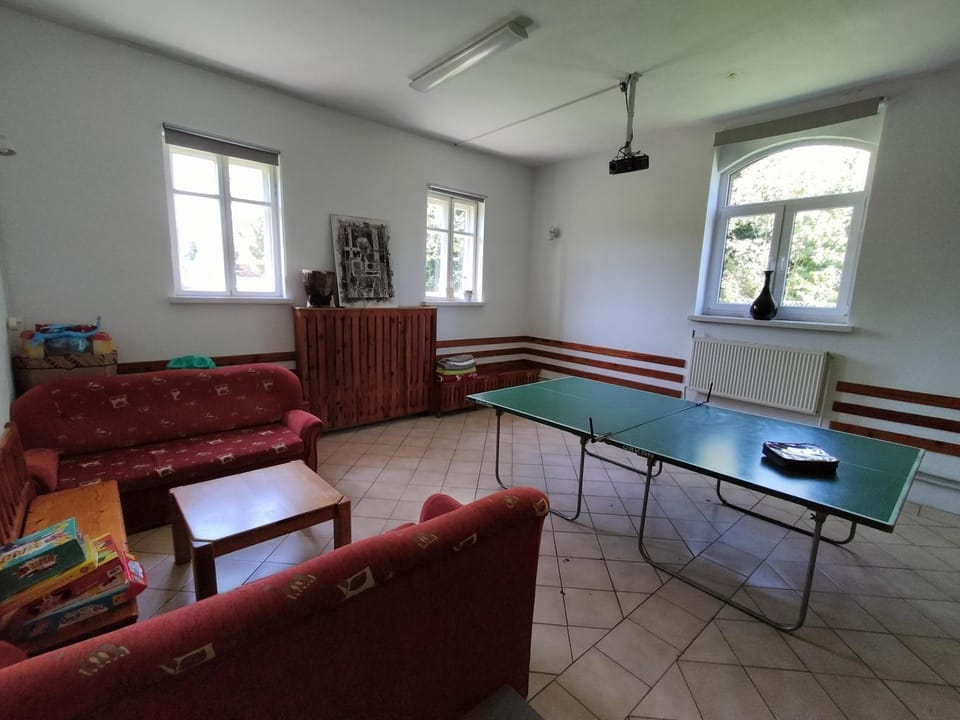 Game Room, Table tennis