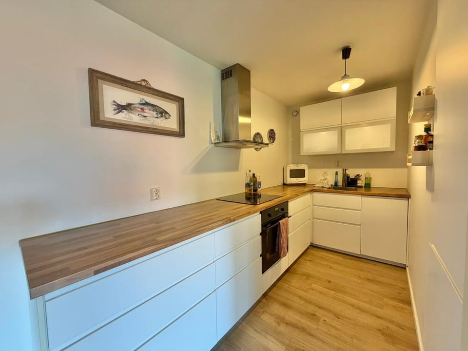Kitchen or kitchenette, dishwasher, oven, stove