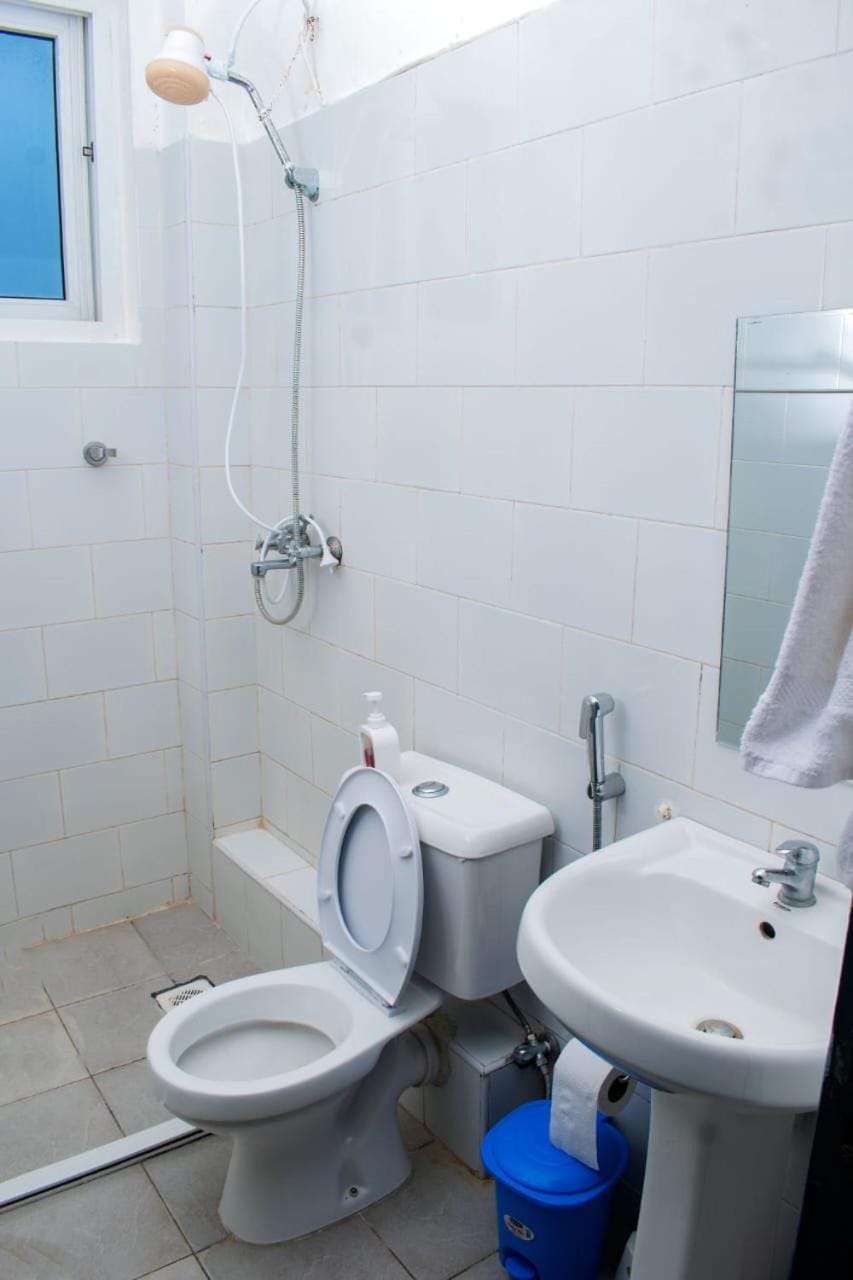 Shower, Toilet, Bathroom, bidet