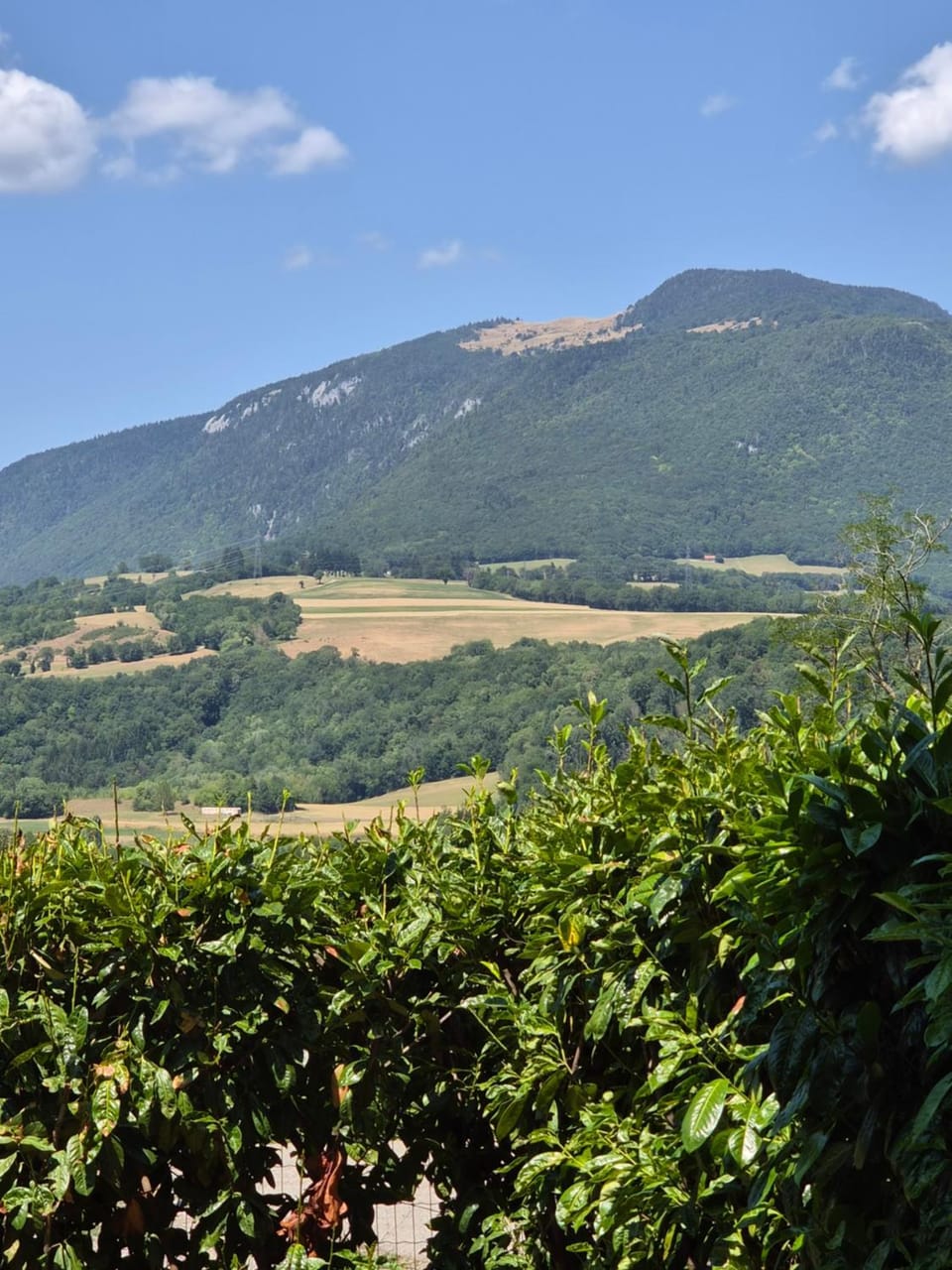 Natural landscape