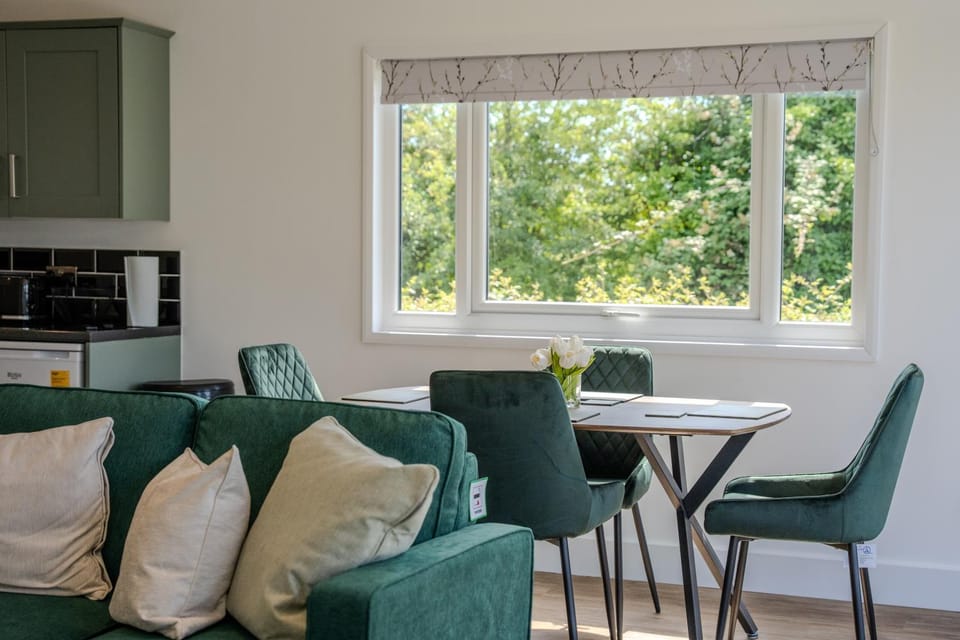 Luxury Lodge with Hot Tub near Rye House in Rother District