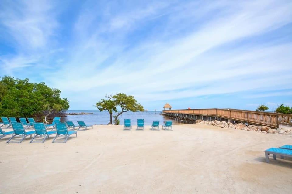 Natural landscape, Beach, Sea view, sunbed