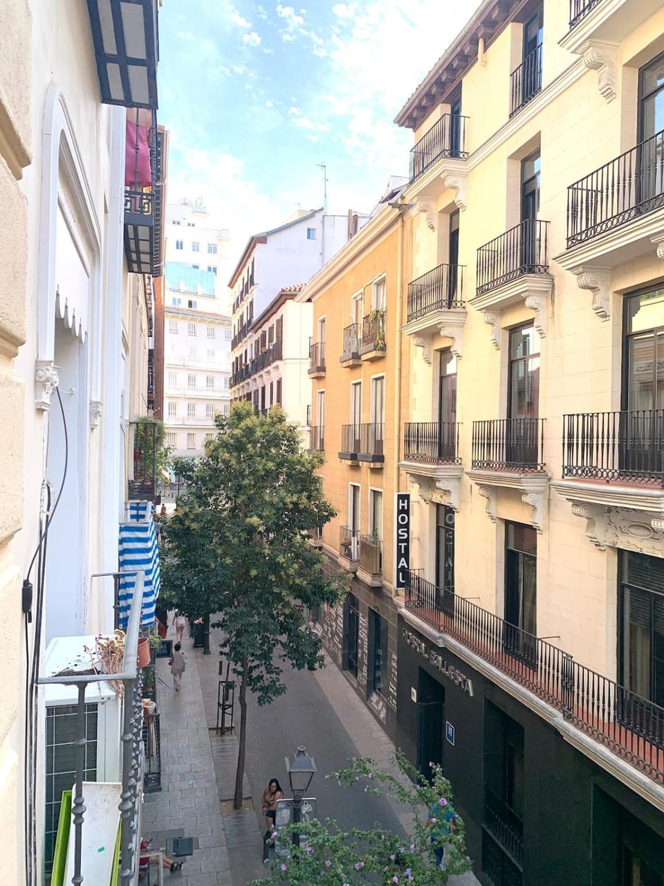 City view, Street view