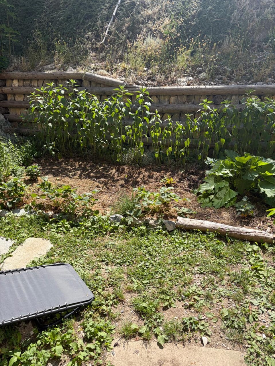 Studio l Anjou Apartment in Briançon