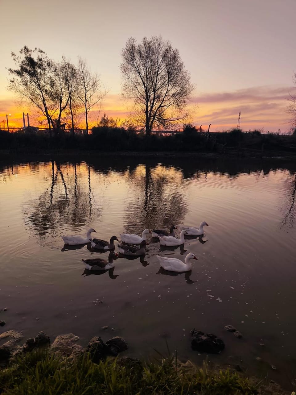 Natural landscape, Lake view, River view, Sunrise, Sunset