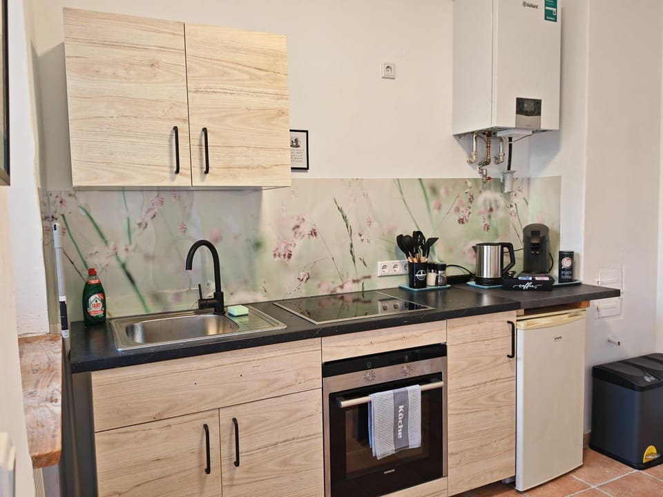 Kitchen or kitchenette, kitchen