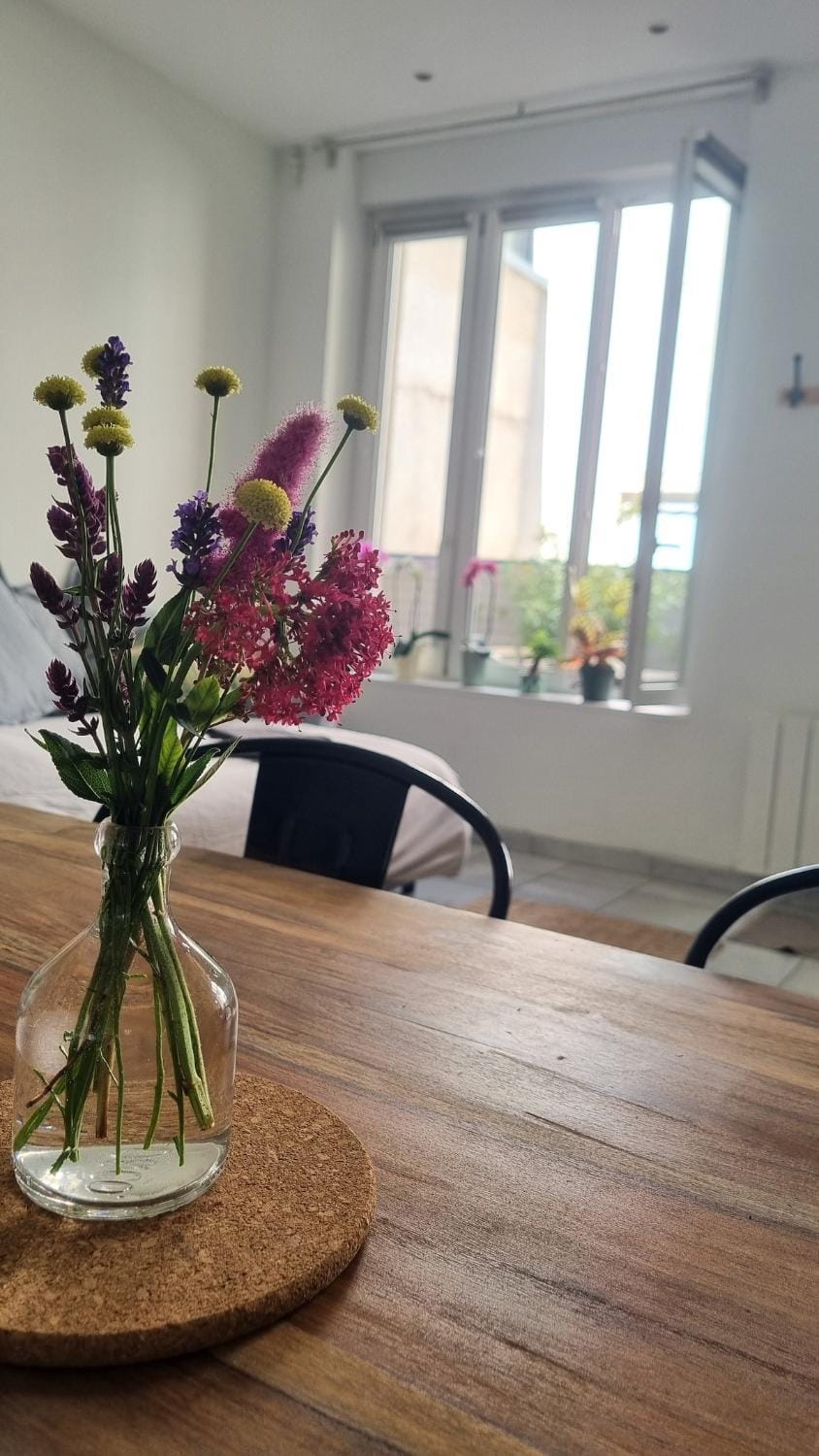 Quiet City-Center Terrace Apartment in Nancy