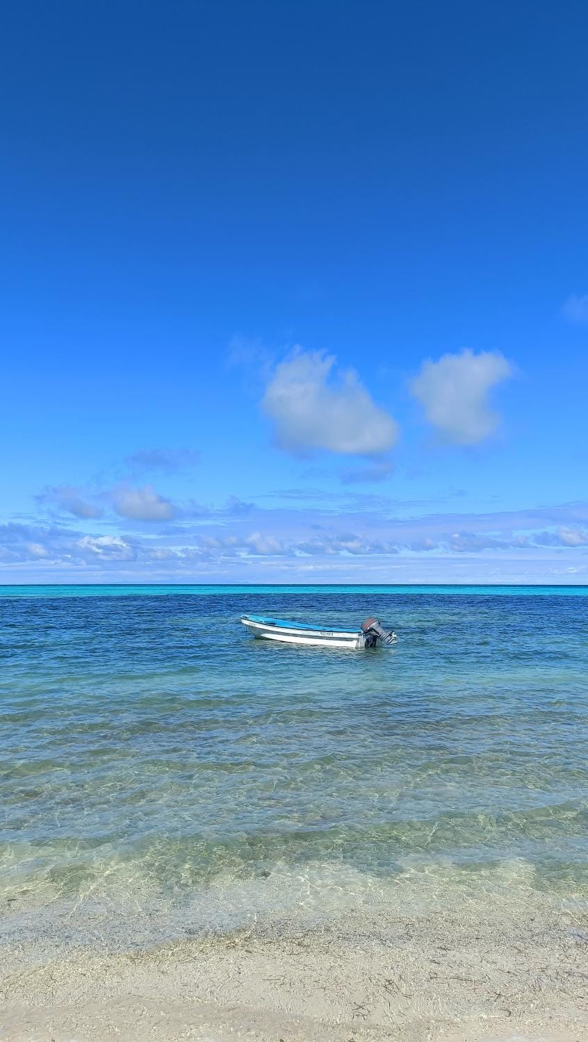 Day, Natural landscape, Beach
