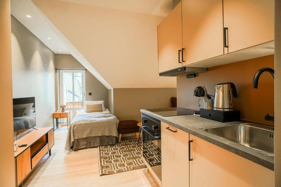 Modern entire apartment in the city center 303 Apartment in Viken, Norway