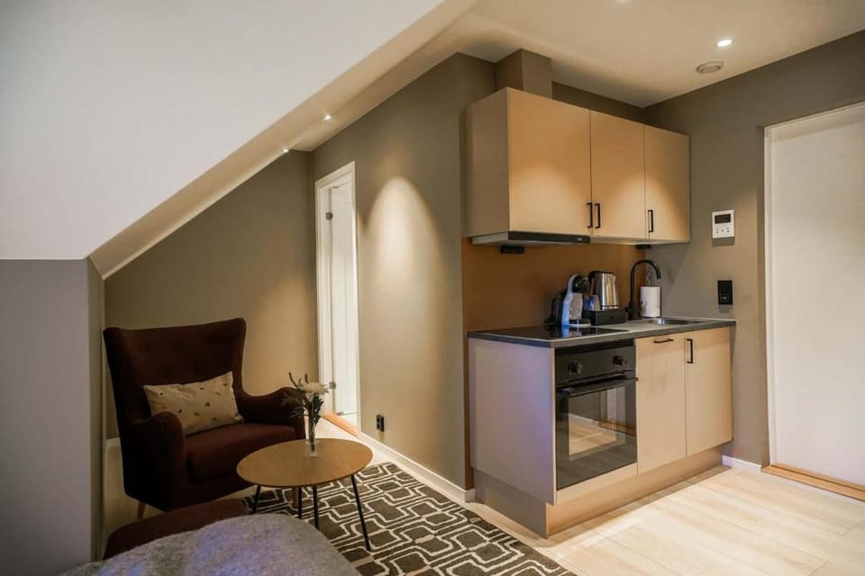 Modern entire apartment in the city center 303 Apartment in Viken, Norway